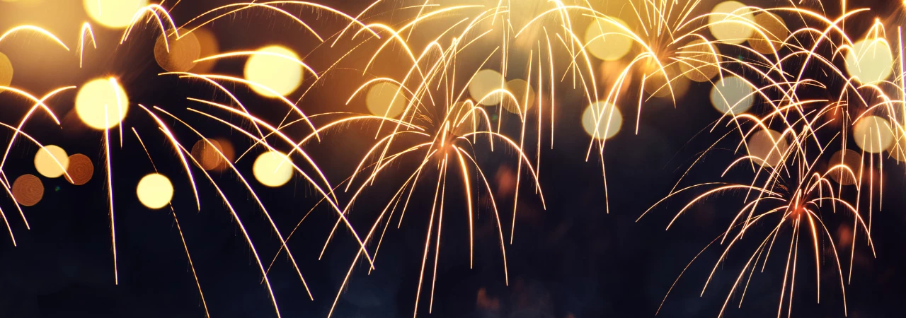 New Year's fireworks in the night sky